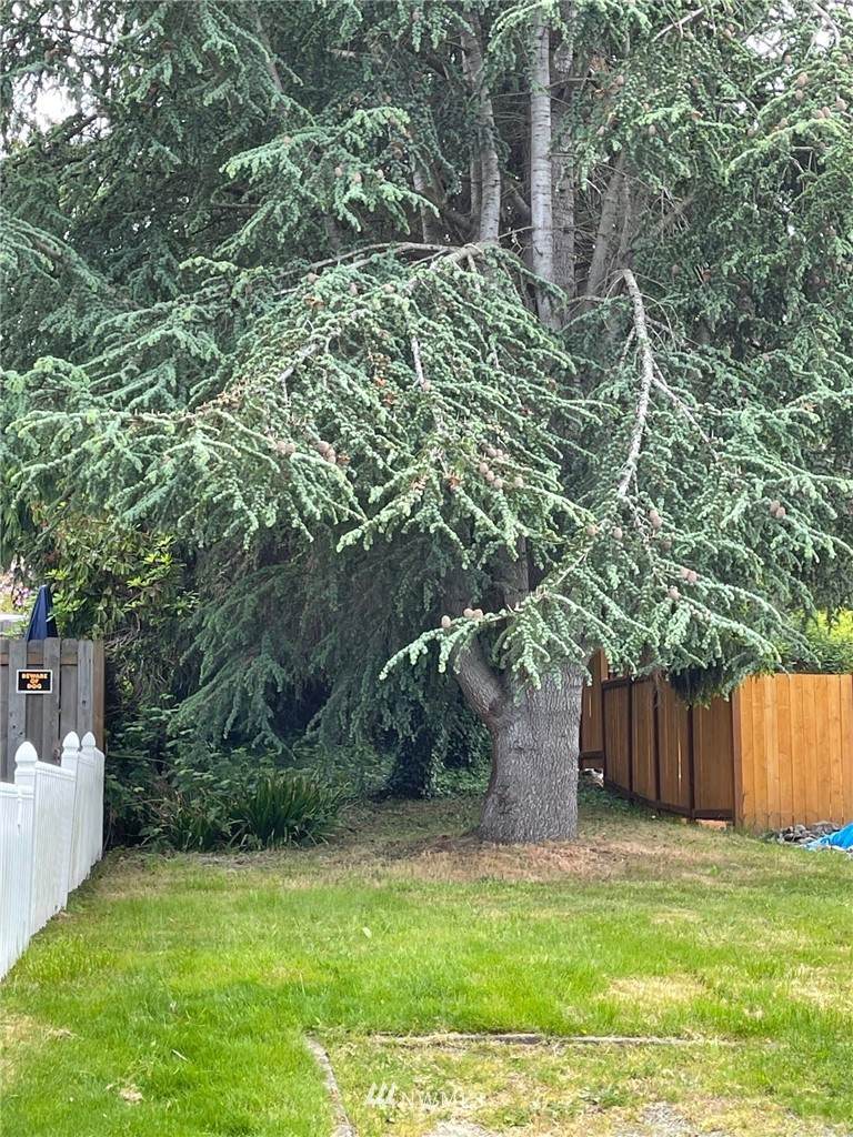 8380 6th Ave - Photo 1