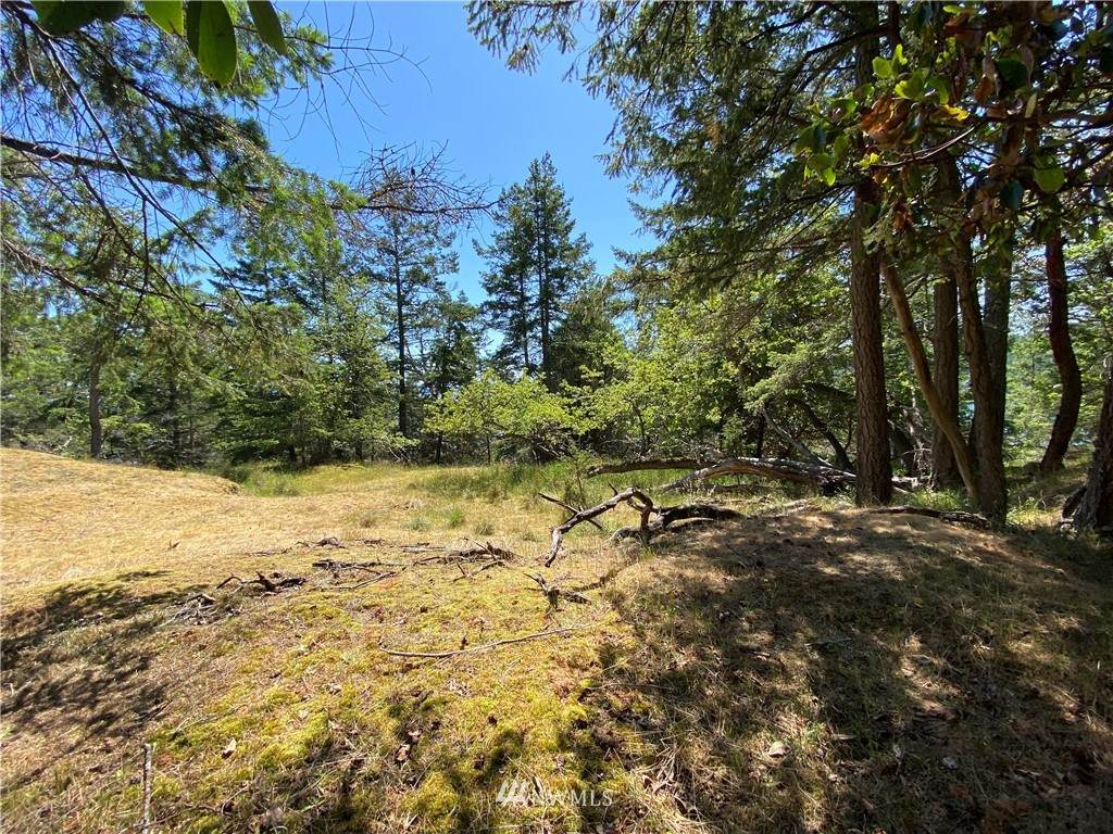 0 Vista Place Lot 12 - Photo 1