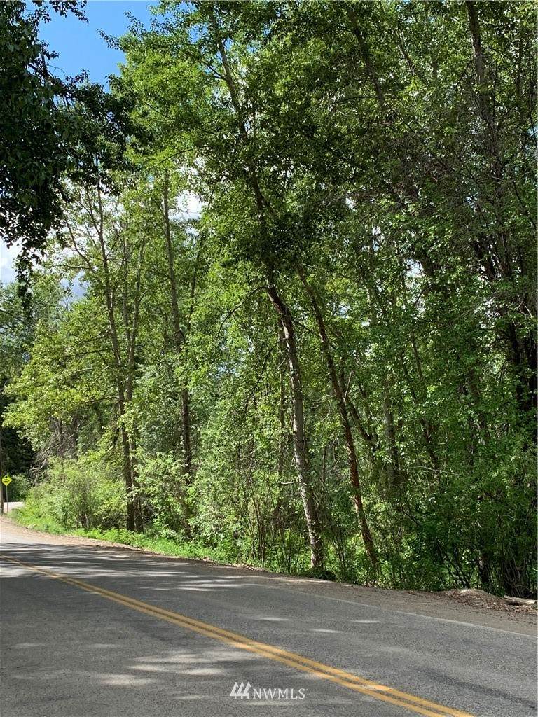 0 Twisp River Rd - Photo 1