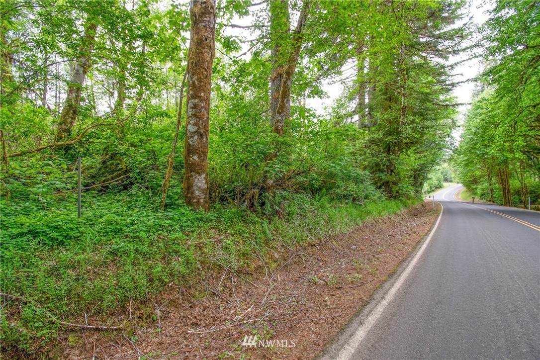 0 Germany Creek Road - Photo 1