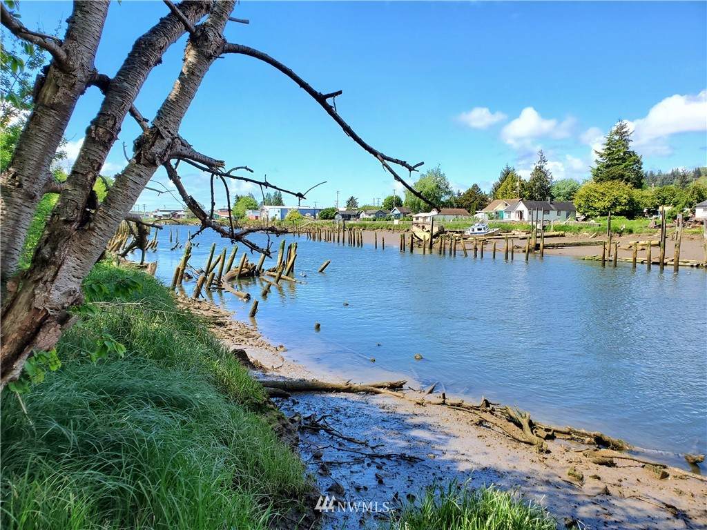 302 Chehalis Street - Photo 1