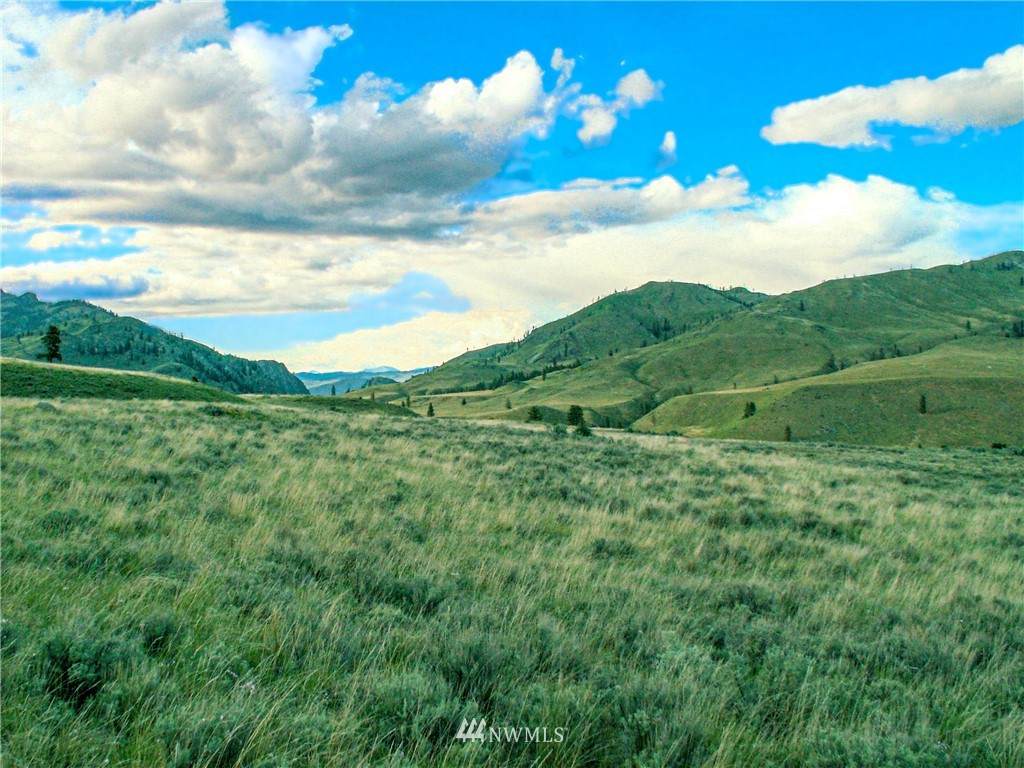 700 Washington Creek Road - Photo 1