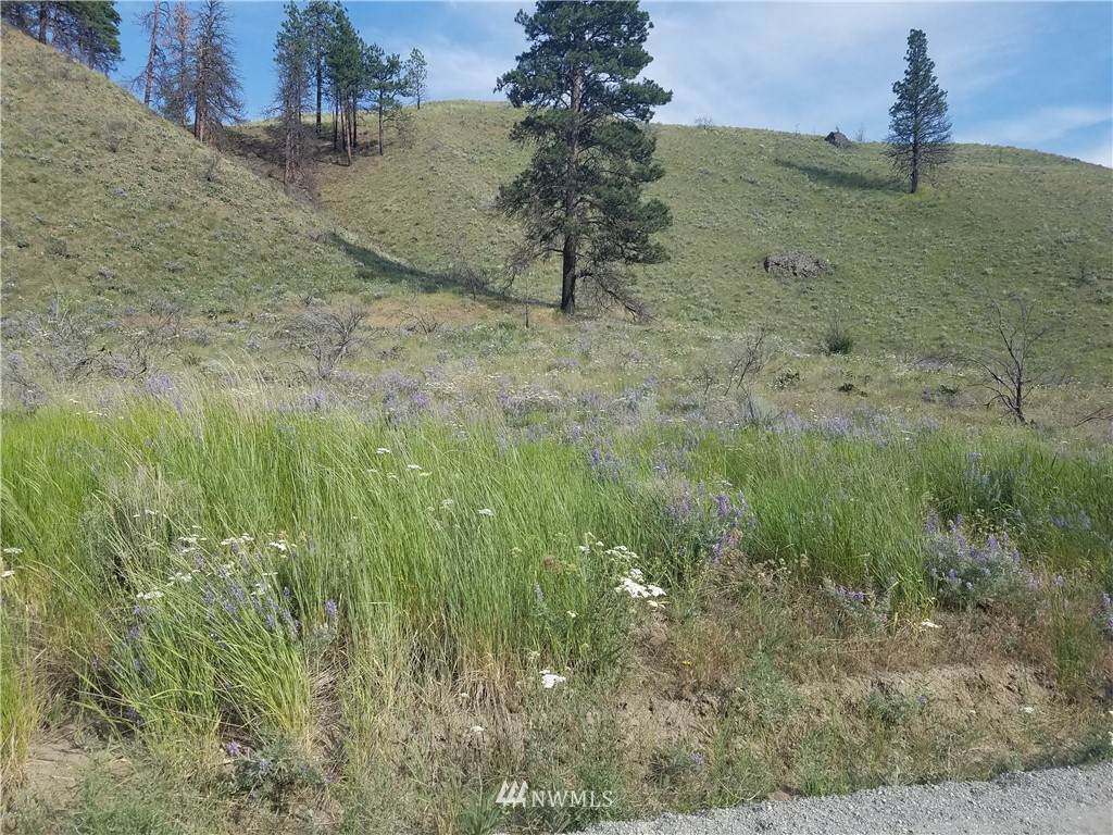 0 Spring Canyon Road - Photo 1