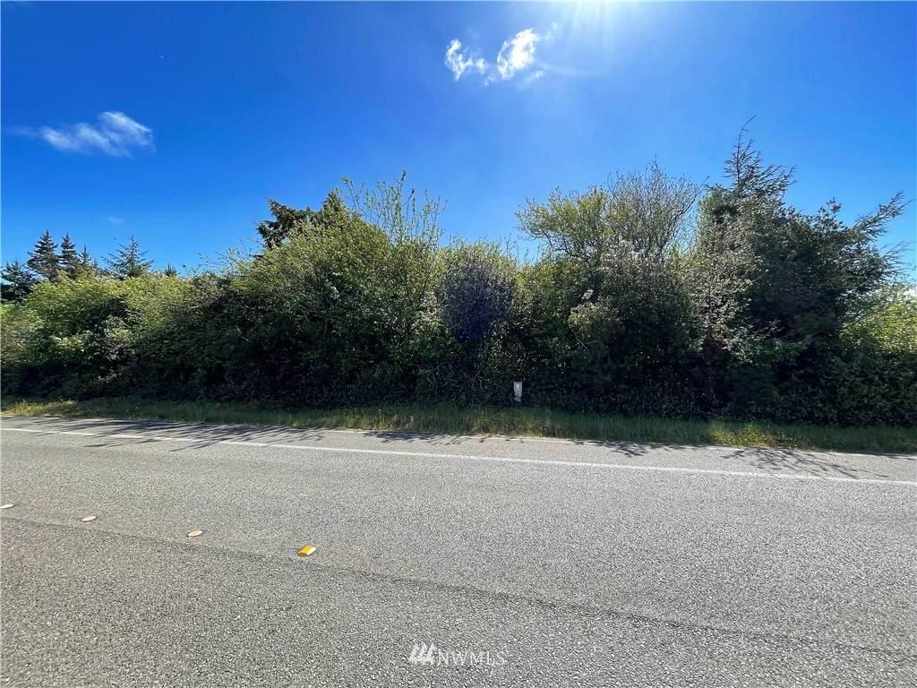917 Point Brown Avenue - Photo 1