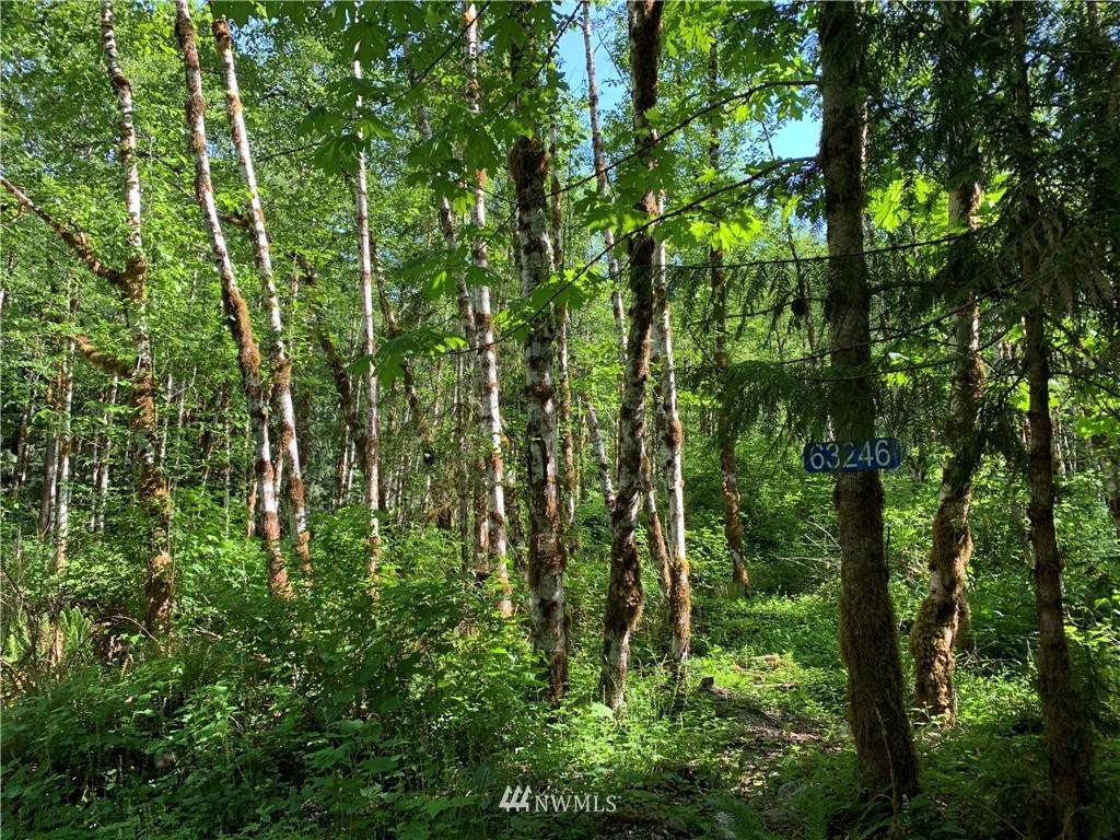 0 Cascade Way - Photo 1