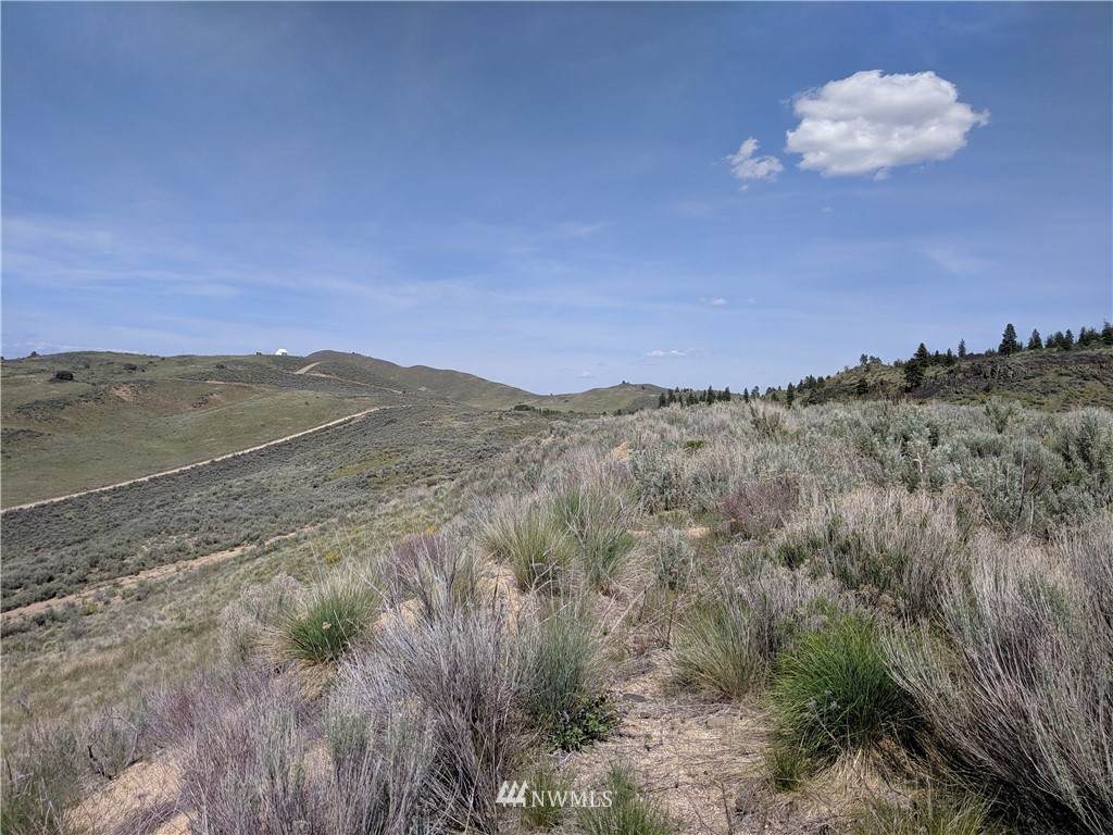 0 Peach Road - Photo 1