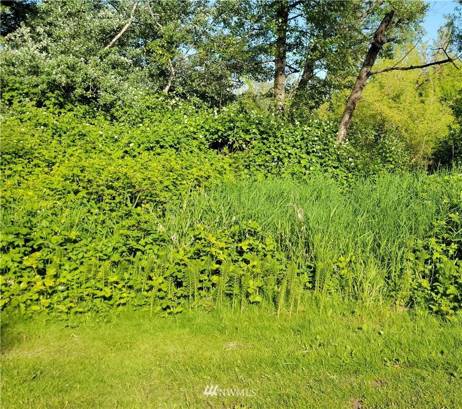 0 XXXX First Street - Photo 1