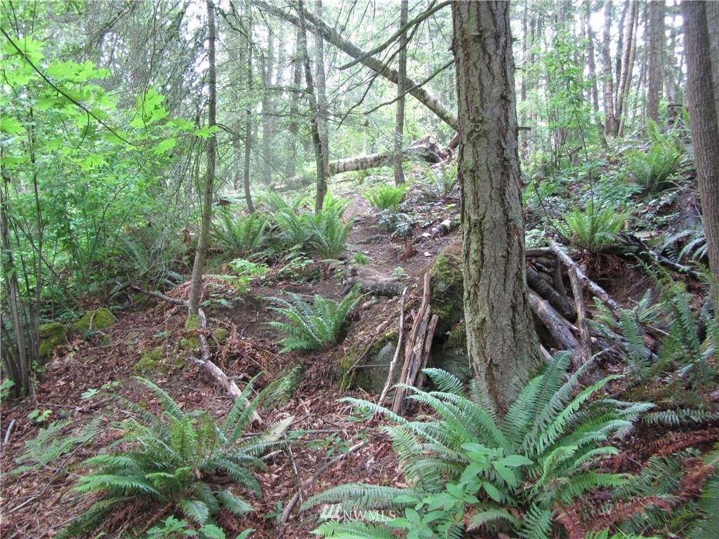 0 XXX Brays Way - Photo 1
