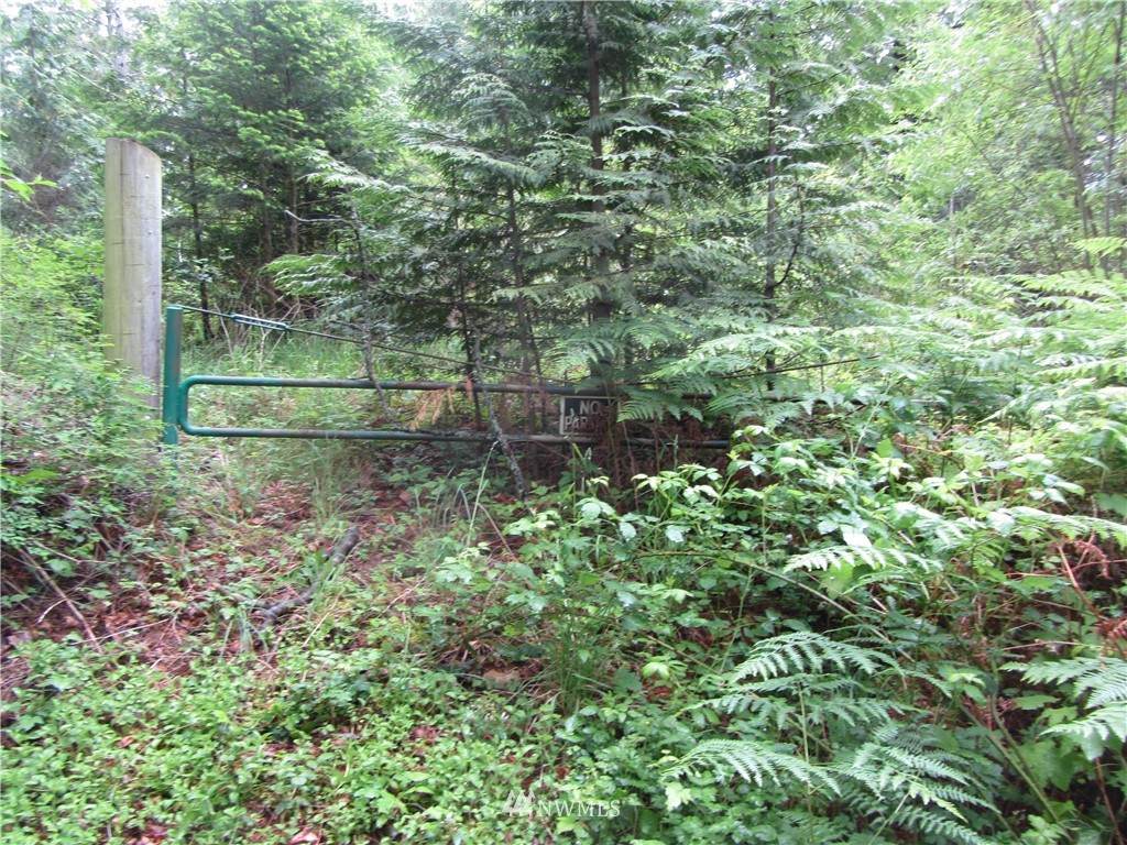 4225 Jimi Hendrix Way - Photo 1