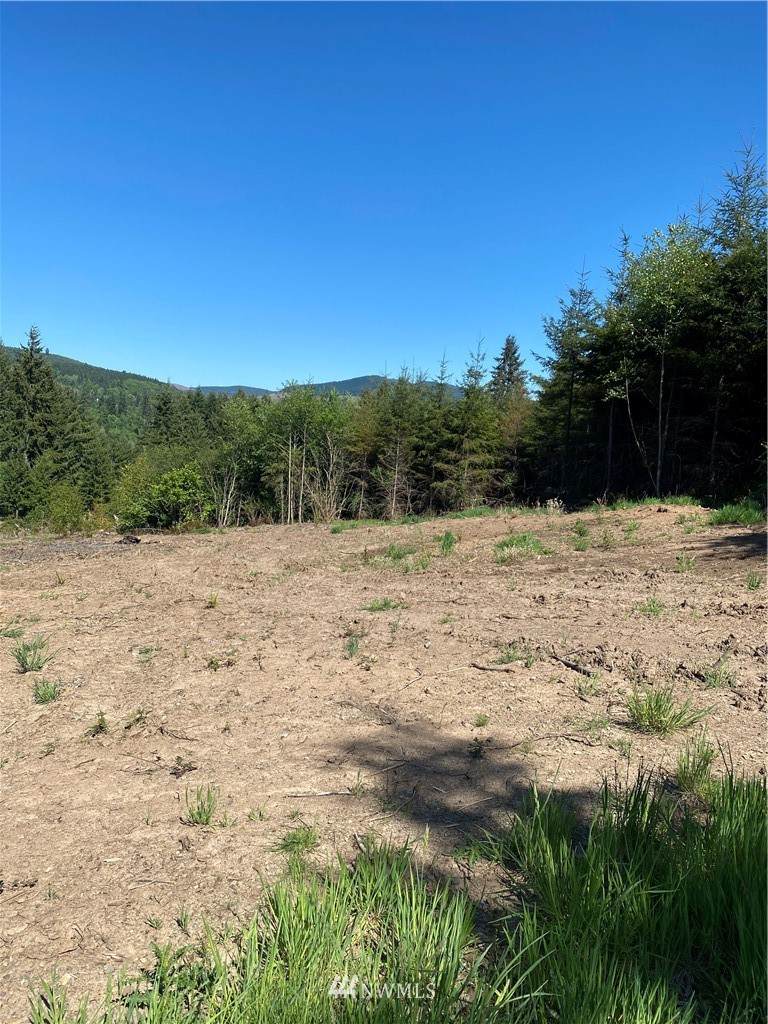 0 Goble Creek Road - Photo 1