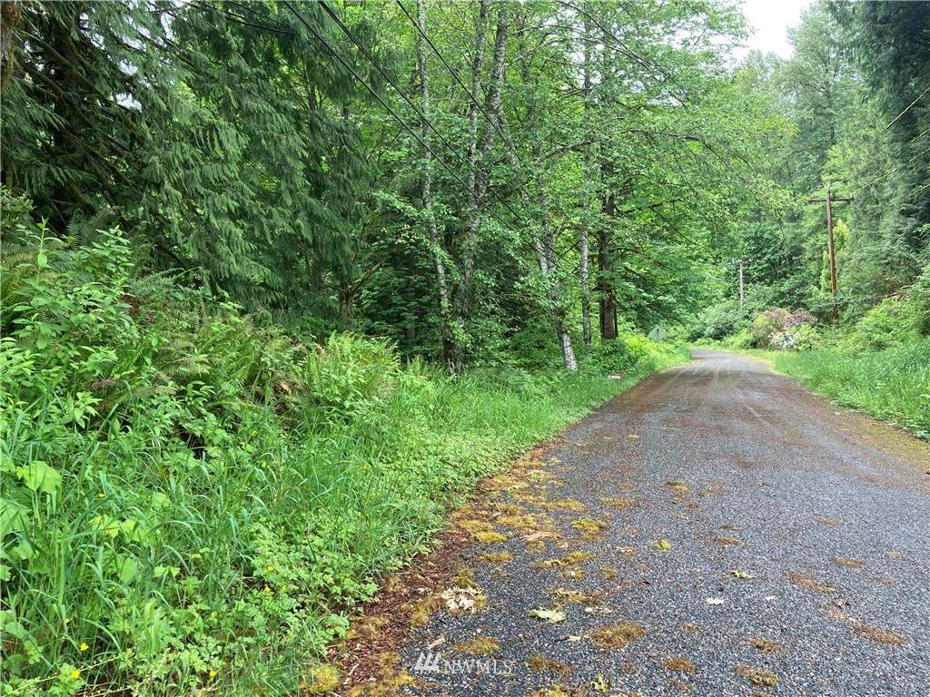 50228 Sauk Store Rd - Photo 1