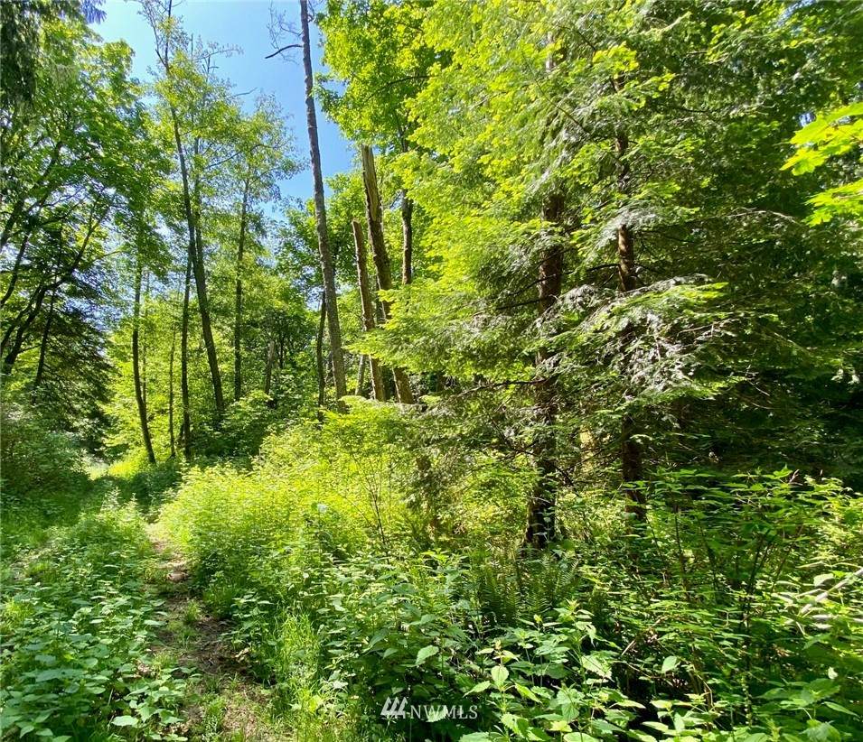 0 Swordfern Lane - Photo 1