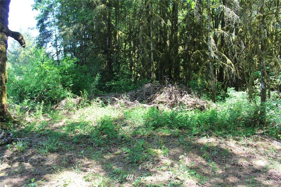 259 Avery Road - Photo 1