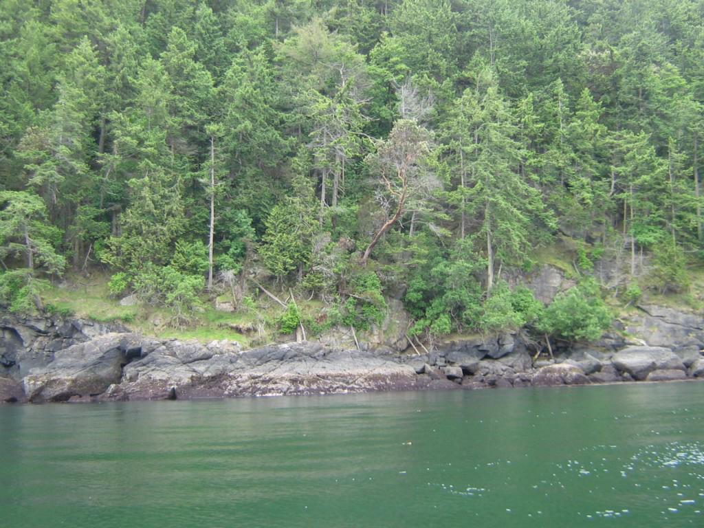 0-XXX Island Heights - Photo 1