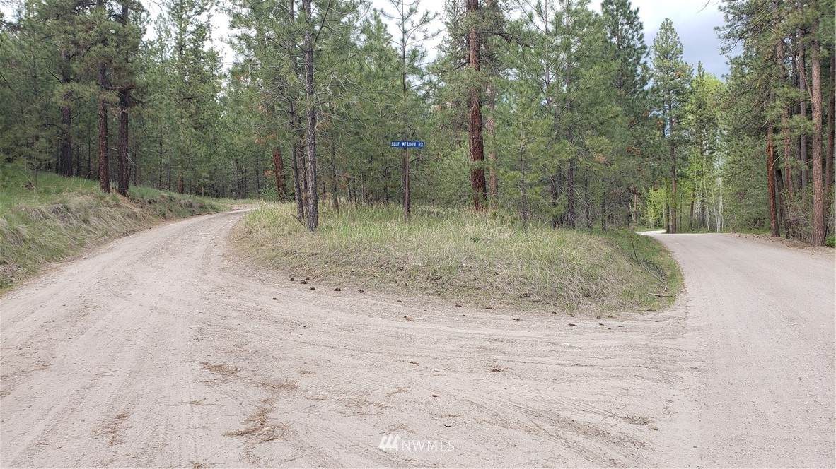 3 Blue Meadow Road - Photo 1
