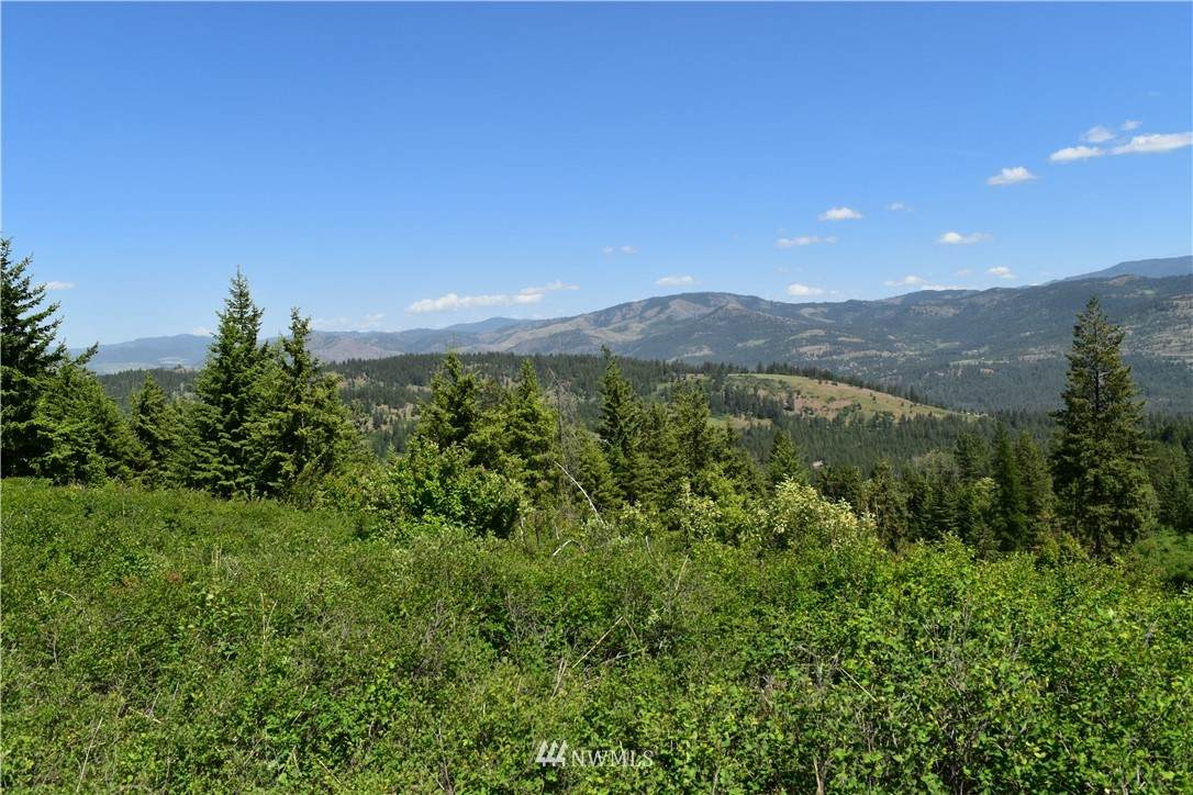 0 TBD Silver Creek Road - Photo 1