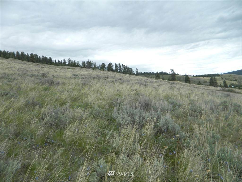 111 TBD High Country Drive - Photo 1