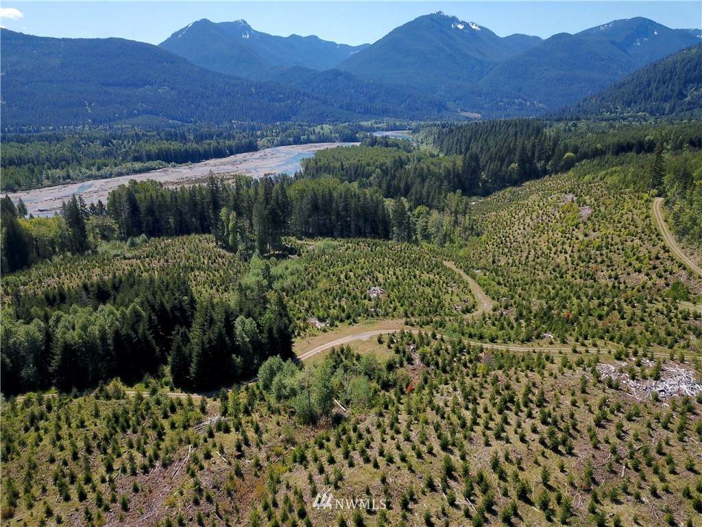 0 Off Craig (Lower) Road - Photo 1