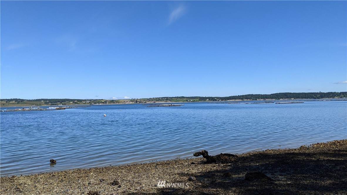 1727 Madrona Way - Photo 1