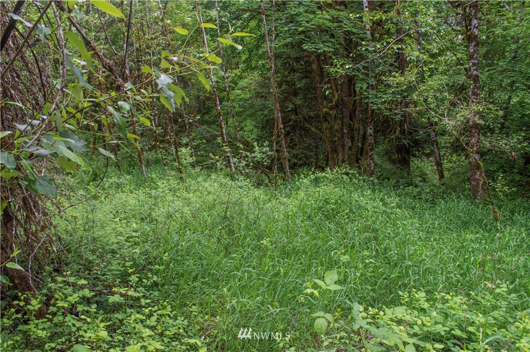 252 Alpenridge Road - Photo 1