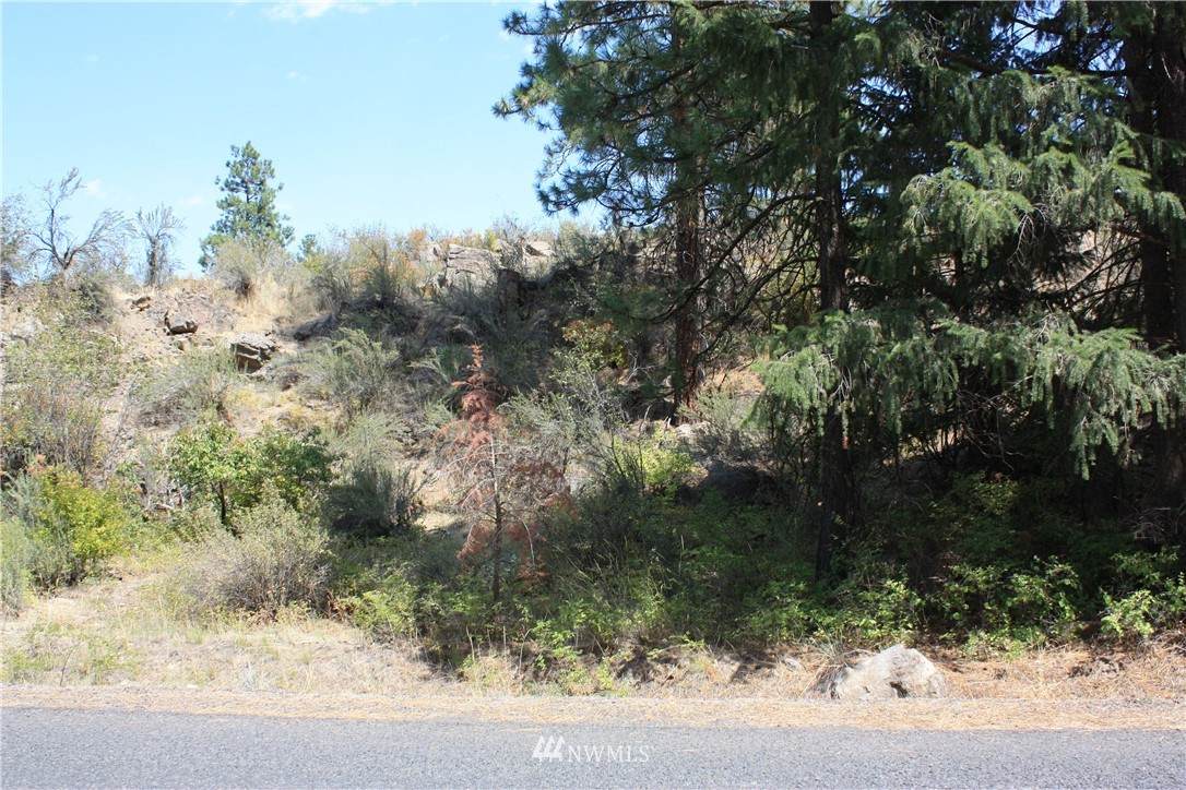 39010 Sterling Valley Road - Photo 1
