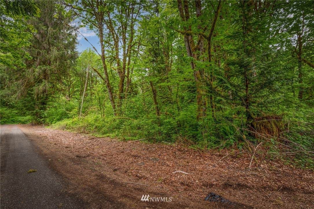 6120 Rutsatz Road - Photo 1