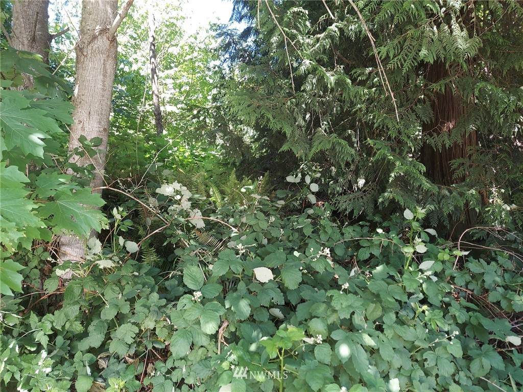 77 M Skaget Way - Photo 1