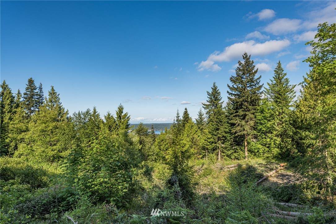 9999 Lot 11 High View Lot Way - Photo 1