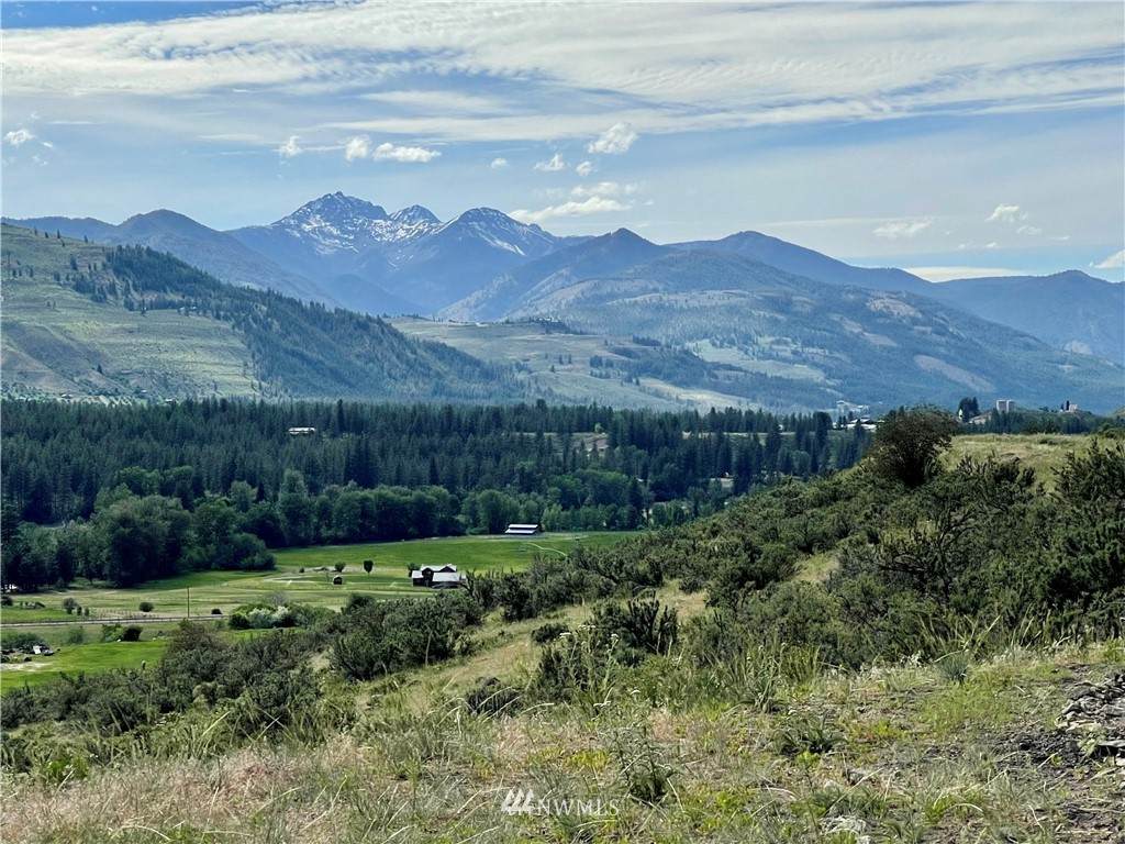 25 Bear Creek Road - Photo 1