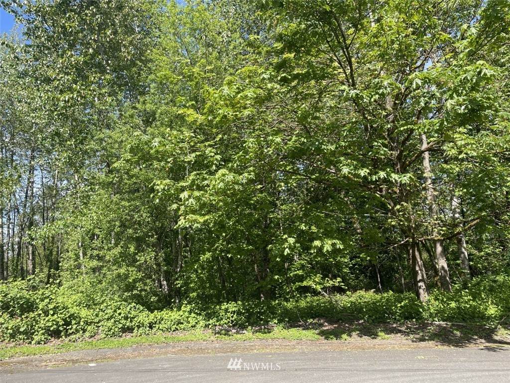 5008 335th Lane - Photo 1