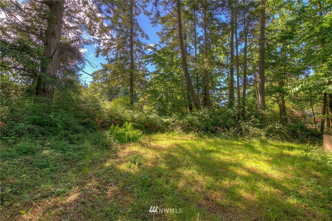 0 Feather Lot 4 Lane - Photo 1