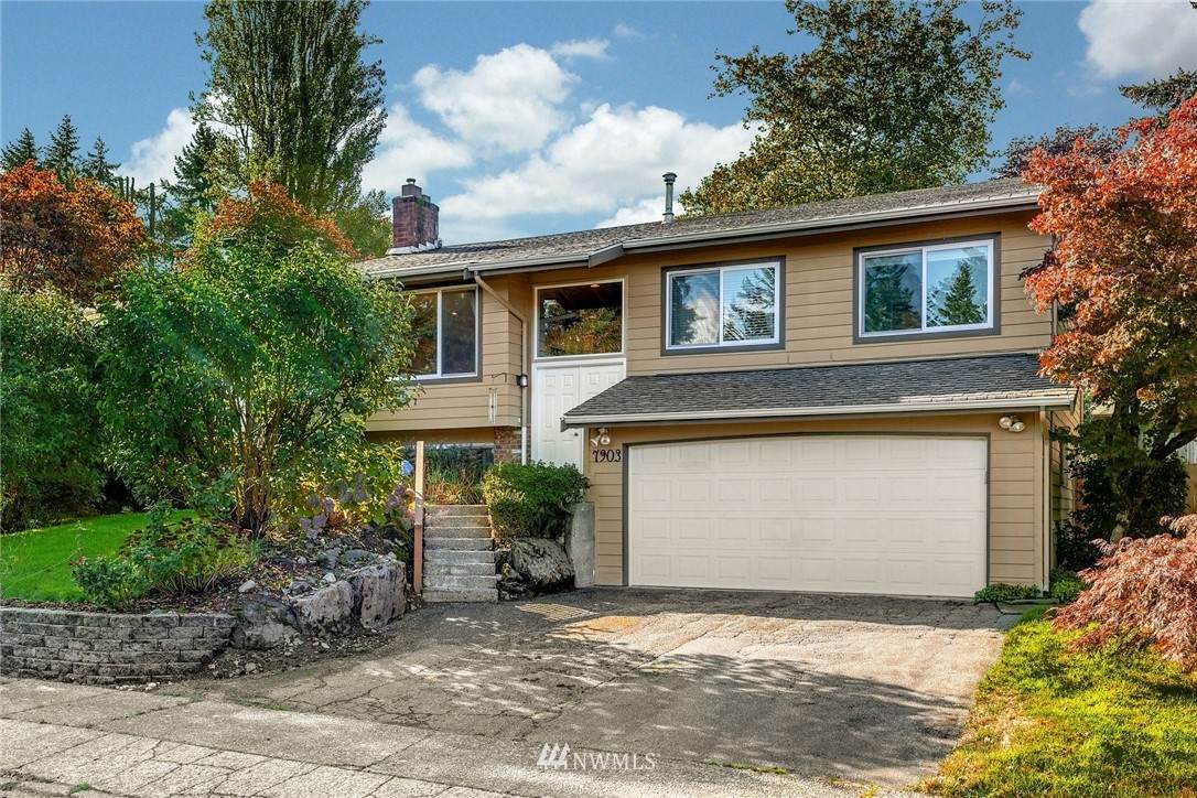 7903 133rd Avenue - Photo 1