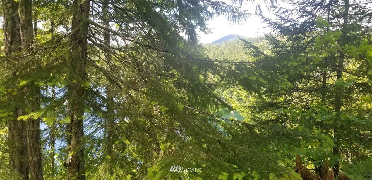 0 Mountain View Drive - Photo 1