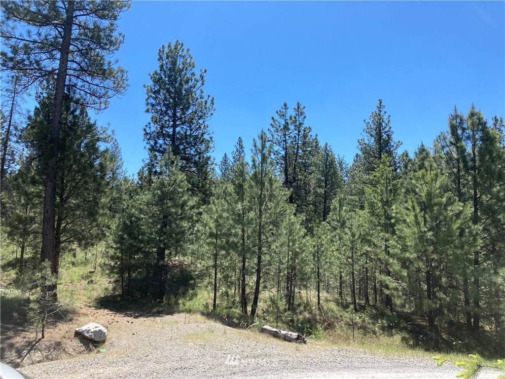 25 Chief Joseph Trail Lot 1 - Photo 1