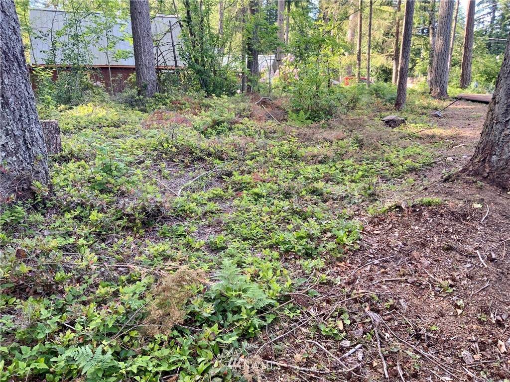8367 Dolphin Way - Photo 1