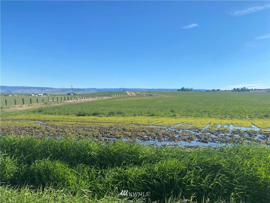 2 xxC Parke Creek Road - Photo 1
