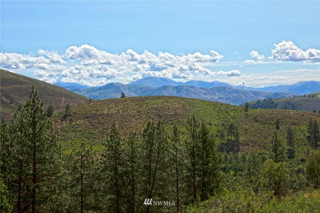 0 Lot 69 Whitebark Lane - Photo 1