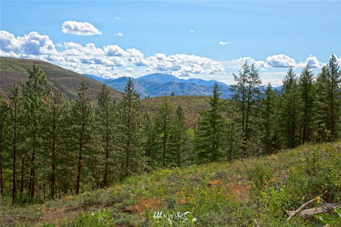 0 Lot 70 Whitebark Lane - Photo 1