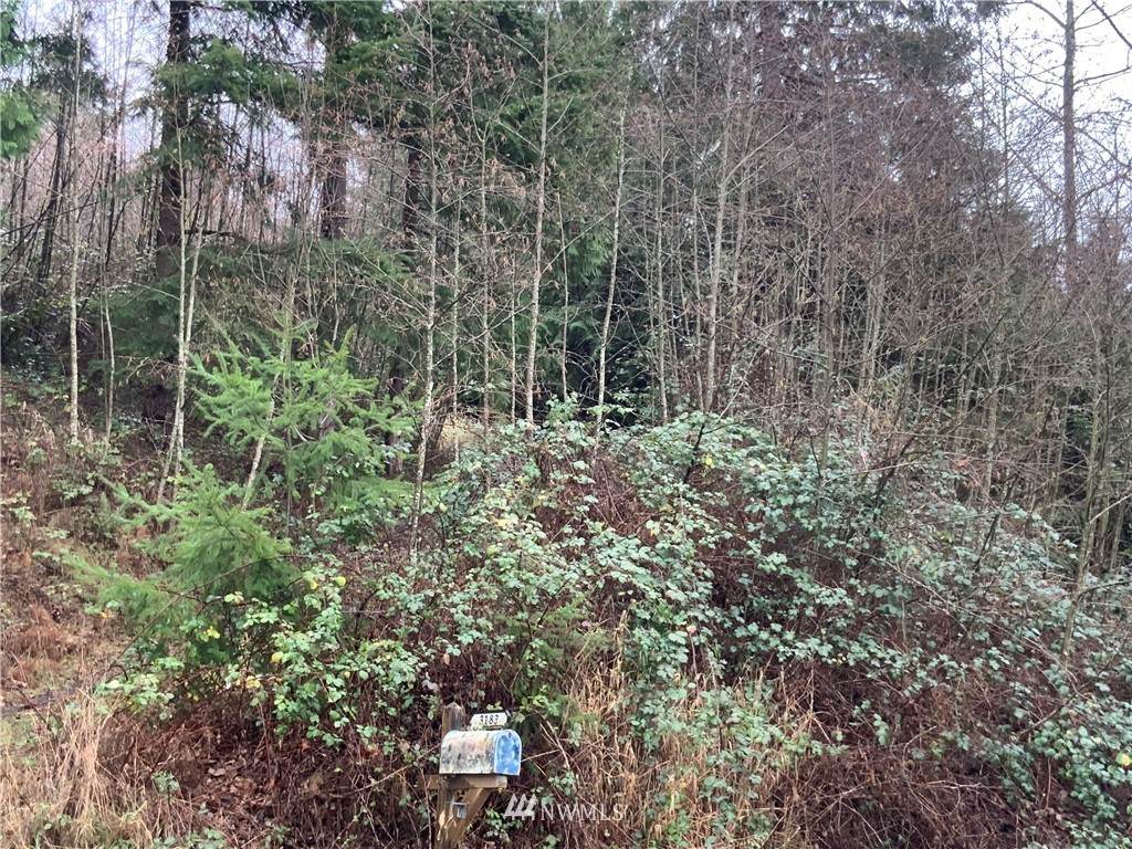 3182 Ammons Drive - Photo 1