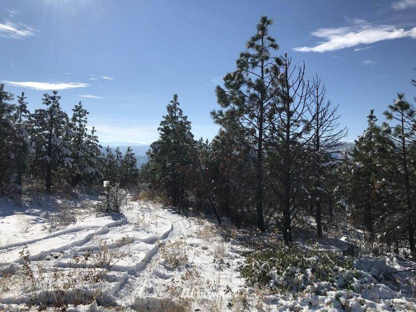 0 Entiat River Road - Photo 1