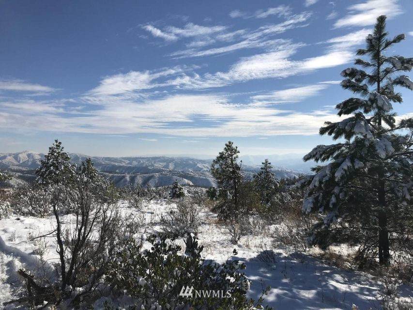 4 Entiat River Road - Photo 1