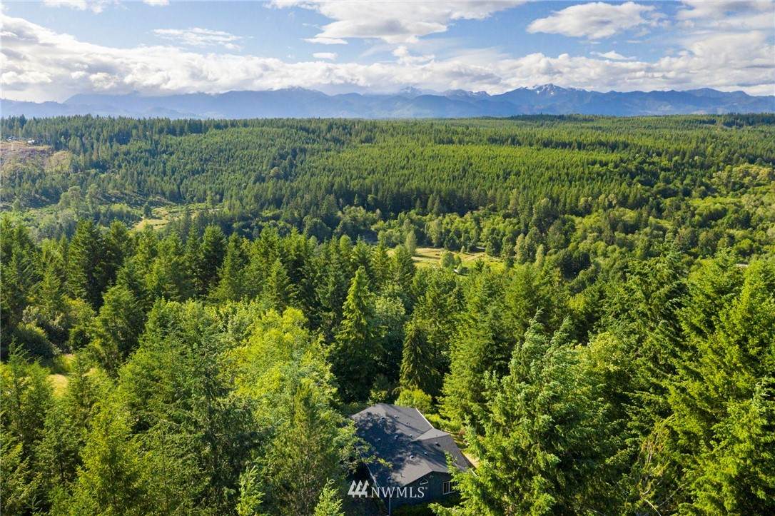 1571 Bear Ridge Road - Photo 1