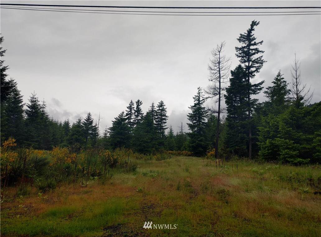 106 Cottonwood Lane - Photo 1