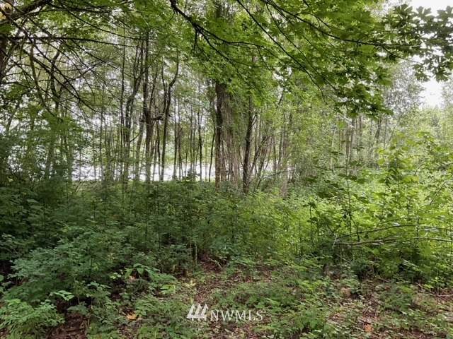 41333 Shore Lane - Photo 1