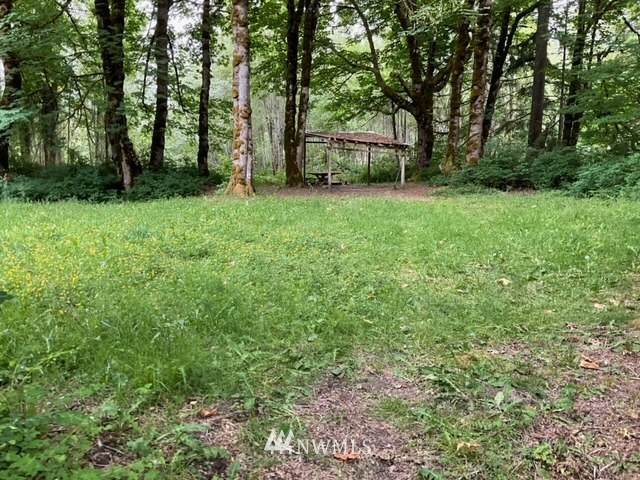 41337 Shore Lane - Photo 1