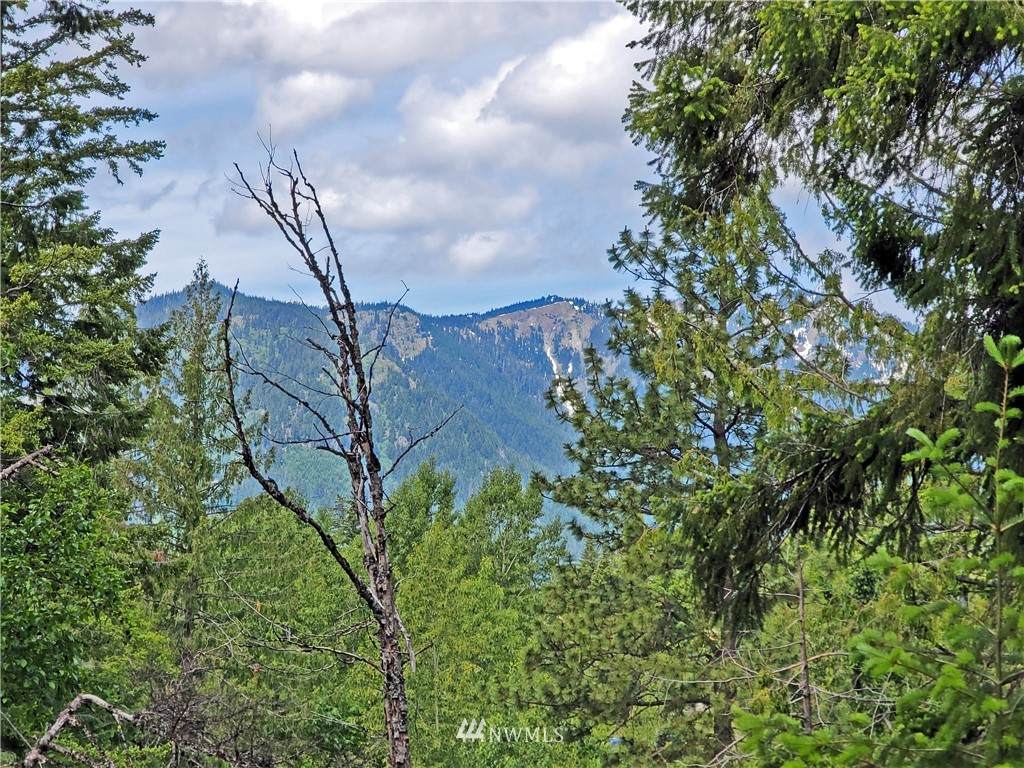 0 Lot 19 Telluride Drive - Photo 1