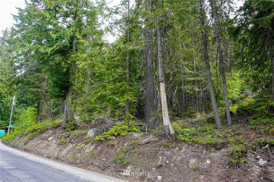 0 Cedar Brae Road - Photo 1