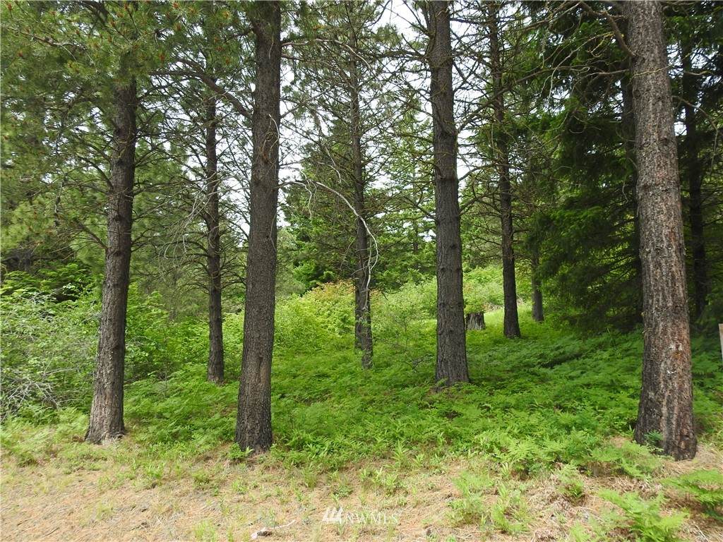 661 Ruby King Loop - Photo 1