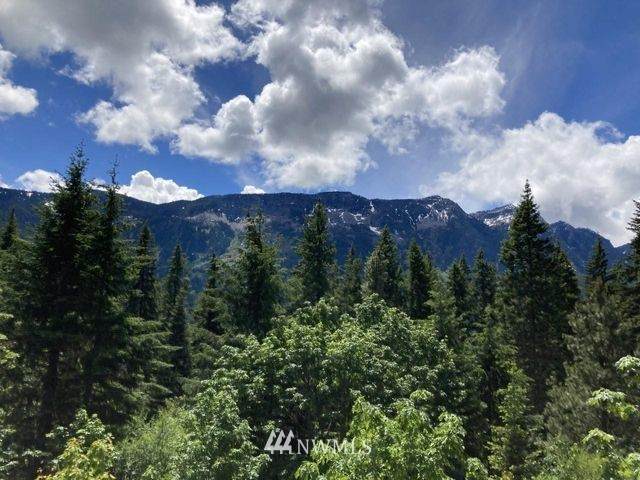 1 Lk Wenatchee Highway - Photo 1