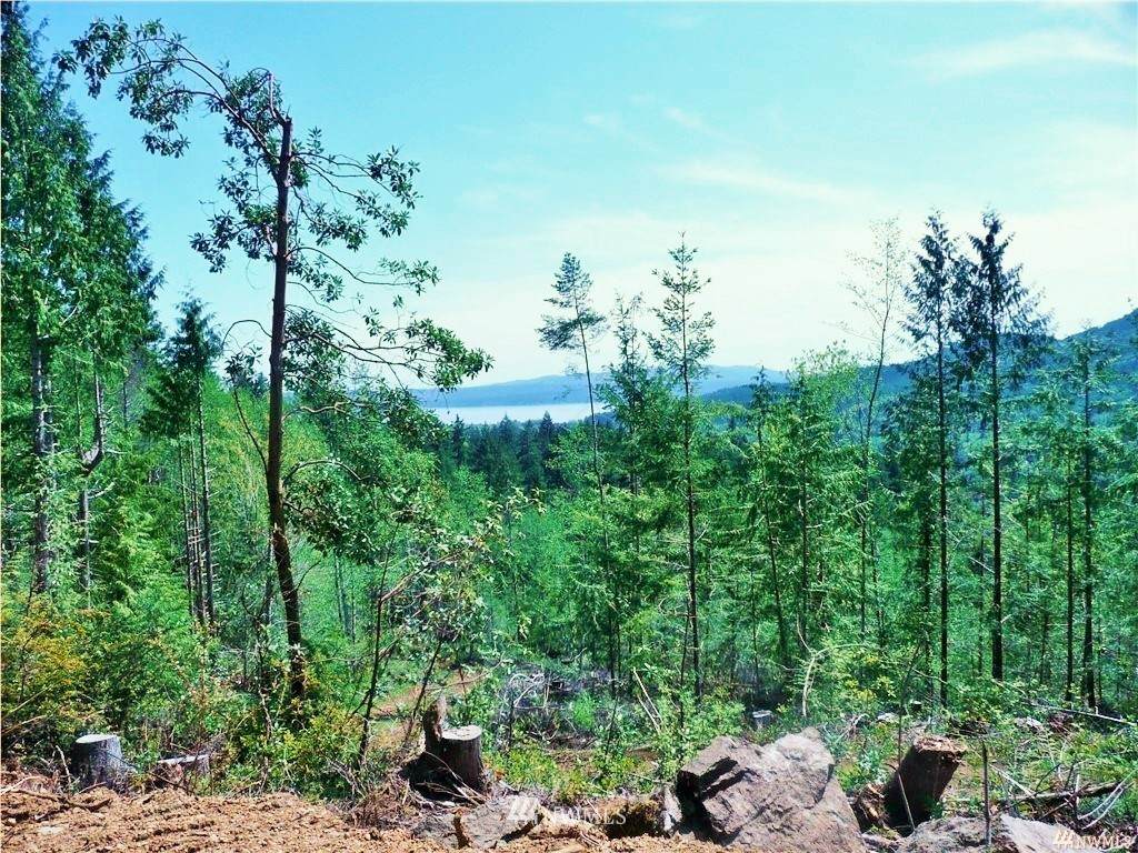 0 Dosewallips Road - Photo 1